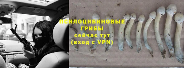 круглые Липки