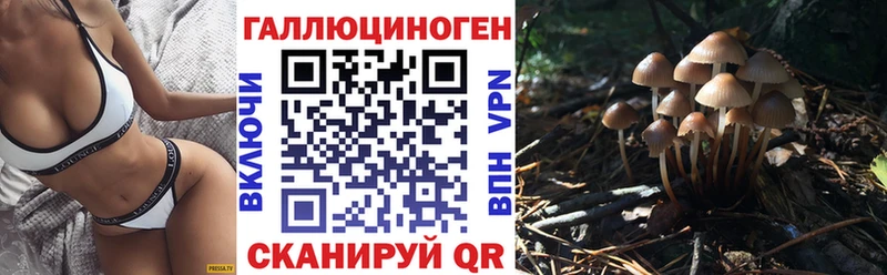 Псилоцибиновые грибы GOLDEN TEACHER  наркота  Чекалин 