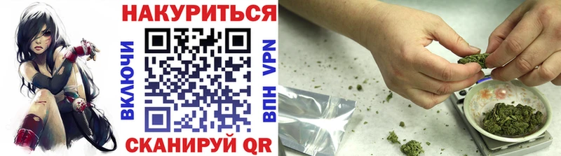 Конопля планчик  Чекалин 